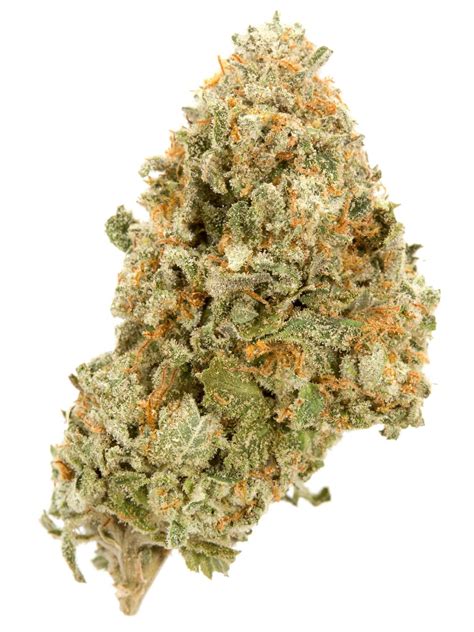 don mega strain|The Don Mega Marijuana Strain Information.